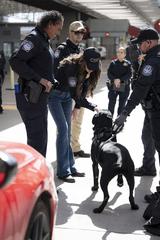 DHS Secretary Kristi Noem visiting U.S. Customs and Border Protection at San Ysidro Port of Entry