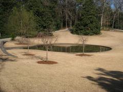 Scenic view of Sarah P. Duke Gardens with diverse plants and trees in spring