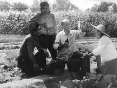 Famous vegetable expert Li Jiawen conducting scientific experiments with students in 1962 at Shandong Agricultural College