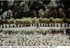 Sigmund Stern Recreation Grove