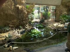 View of the Vienna Zoo Tiergarten Schönbrunn in Austria with animals and lush greenery
