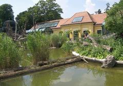 Scenic view of Tiergarten Schönbrunn zoo enclosure with animals in Vienna, Austria