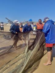 Fishing nets drying on the shore at Costa da Caparica, Portugal