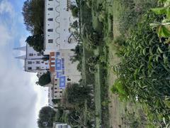 Sintra Natural History Museum