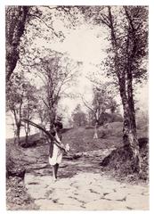 Wilhelm von Pluschow photograph titled Frascati Route de Tusculum showing scenic road in Frascati Italy