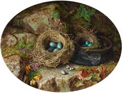 Illustration of various birds' eggs and nests by Charles Russell
