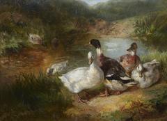 Antique painting of ducks by George Arthur Hickin