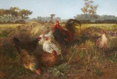 Painting of chickens and fowls in a field with stubble by George Arthur Hickin