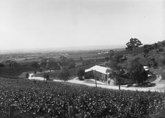 Vintage image of Stonyfell featuring Penfolds Winery building in the distance