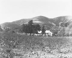 Scenic view of Stonyfell vineyard and surrounding landscape in Adelaide Hills