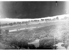 Stonyfell Vineyards with Panoramic View of Rows of Grape Vines and Surrounding Landscape