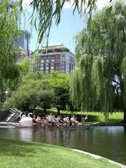 Swan boat on the Lagoon in Boston Public Garden during summer