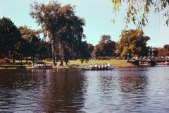 Swan boats on the Lagoon at the Boston Public Garden in the late 1950s