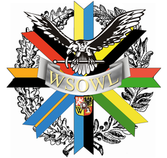 Commemorative badge of Wyższa Szkoła Oficerska Wojsk Lądowych 2015 Poland