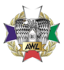 Commemorative badge of the Akademia Wojsk Lądowych Tadeusz Kościuszko 2018 Poland