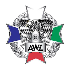 Commemorative badge of the Land Forces Academy in Poland 2018