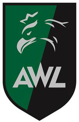 Polish Land Forces Academy identification insignia on field uniform 2018