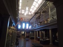 Facade of the Australian Museum with historic architecture in Sydney