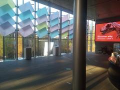 Front entrance of Australian Museum with historic stone architecture and decorative sculpture in Sydney