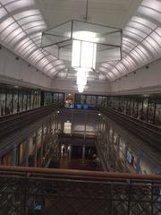 Grand entrance of Australian Museum with classical architecture and people walking