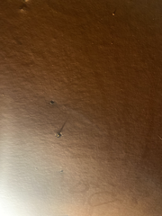 Ceiling of Casbah Coffee Club painted by George Harrison with colorful floral and geometric patterns