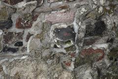 Aztec Templo Mayor Great Temple ruins in Mexico City