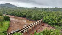 Scenic view from Thenmala Lookout showing lush green hills and valley