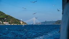 Aerial view of Istanbul city with Bosphorus Strait and bridges