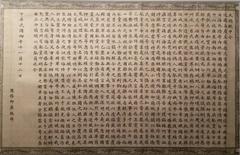 Presidential decree issued by Lu Zhengxiang to suppress the revolutionary party