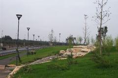 Aerial view of Bari Airport surrounded by greenery and trees