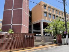 Tokyo Future University