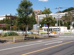 Tokyo Junshin University