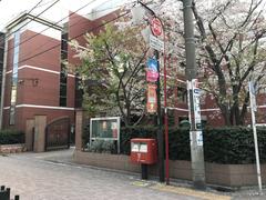 Tokyo Seiei College
