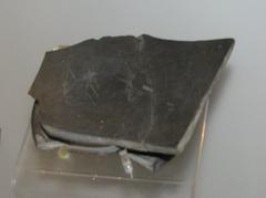 Etruscan bucchero shard with REX inscription found near Regia in Roman Forum