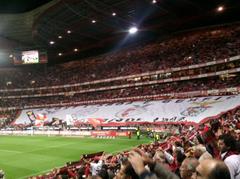 Estádio Da Luz