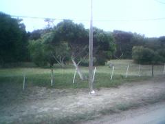 Automóvil Club Argentino