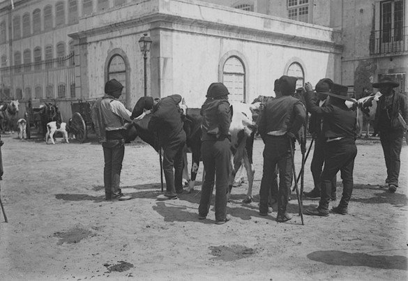 Farmers working in Campo Grande park in Lisbon