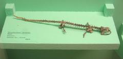 Ambystoma kansensis on exhibit at Museum of Natural History University of Michigan