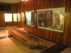 Exhibit at the Museum of Natural History, University of Michigan, Ann Arbor