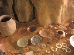 Exhibit in the Museum of Natural History at University of Michigan in Ann Arbor