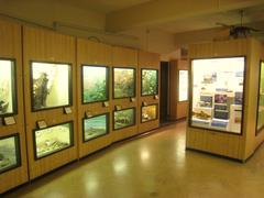 Exhibit inside the Museum of Natural History at the University of Michigan in Ann Arbor featuring large prehistoric fossils and skeletons