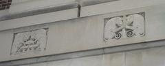 Exhibit of fossils and skeletons at Museum of Natural History, University of Michigan, Ann Arbor