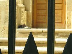 Sleeping cat near Upper Barracca Gardens in Valletta Malta