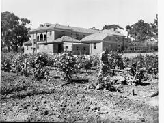 Urrbrae