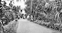 Washington Place, the residence of Queen Liliuokalani, surrounded by tropical greenery in 1918