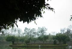 Stone well known as Giếng Trọng Thủy or Giếng Ngọc in Cổ Loa, Đông Anh, Hanoi