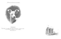 Francis the dog who survived 5 days in Hotel St. Francis wine cellar after 1906 San Francisco earthquake