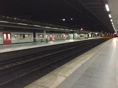 AM Desiro train at Bruges station