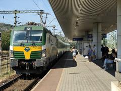 Budapest Kelenföld railway station platform with trains and passengers