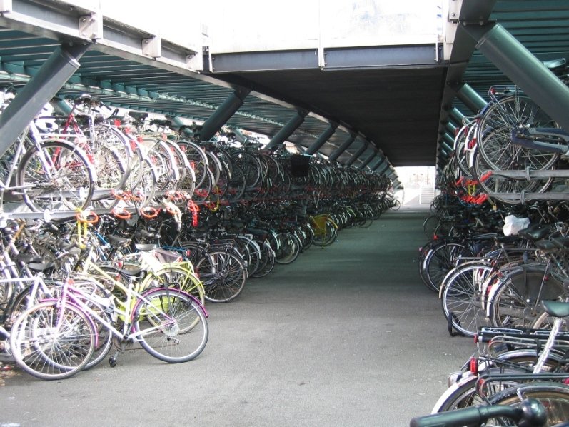 Bicycle parking lot at Leiden station with numerous parked bicycles